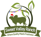 Sweet Valley Ranch Holiday